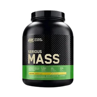 SERIOUS MASS
