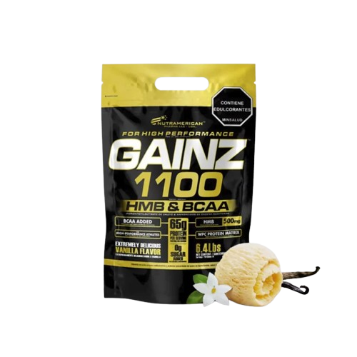GAINZ 1100
